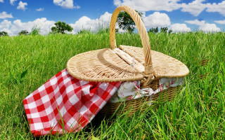 Picnic basket checkered cloth grass - cloth free wallpaper