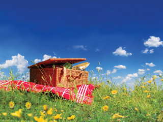 Picnic basket blanket field flowers - free summer wallpaper for desktop