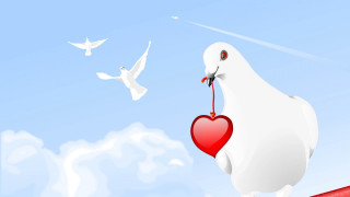 White bird heart flying sky - its beak free wallpaper