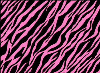 Pink black zebra print pattern 3 - op art free wallpaper for desktop