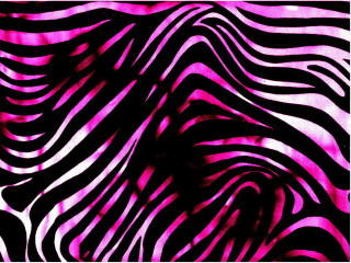 Zebra print pink background black 2 - bridget riley free wallpaper