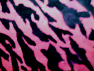 Pink black animal print wallpaper - andy warhol free wallpaper