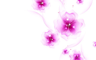 White pink flower floral background - a white background free wallpaper