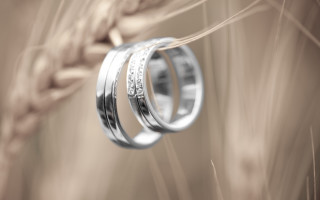 Wedding rings wheat sepia grain - ring free wallpaper