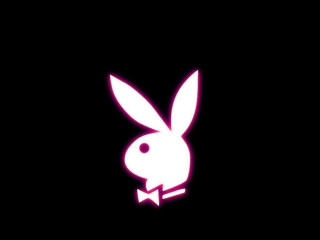 Rabbit bowtie dark neon pink - wallpaper free wallpaper