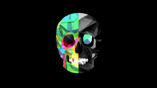 Colorful skull black background white 3 - a white skull free wallpaper