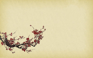 Branch red flowers beige background - a beige background free wallpaper