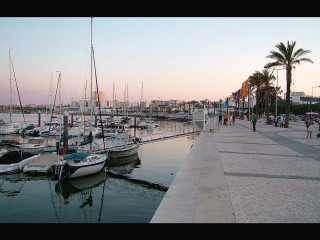 Marina boats palm trees sunset - a marina free wallpaper