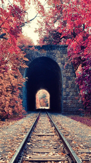 Train track tunnel trees leaves - the ground below free wallpaper for mobile