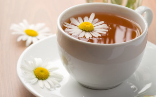 Cup tea flower saucer table - a saucer free wallpaper for desktop