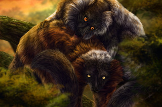 Monkeys tree blurry background leaves - brian and wendy froud free wallpaper
