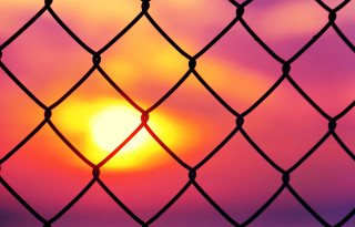 Sunset chain link fence bird - a chain link fence free wallpaper