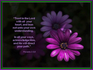 Purple flower bible verse purple - a bible verse free wallpaper