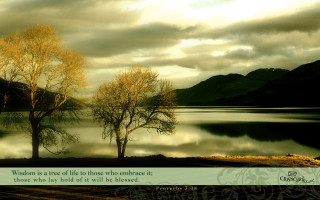 Two trees lake quote life - afraid free wallpaper