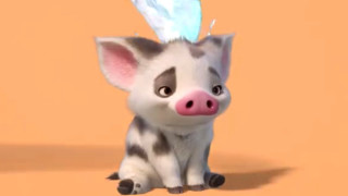 Small pig blue toothbrush brown - orange background free wallpaper