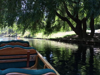 Row boat water tree bench - free summer wallpaper