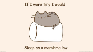 Cat sleeping marshmallow pillow eyes - its head free wallpaper