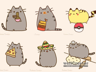 Cats foods faces group different - all free wallpaper
