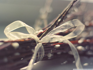 Sticks bow ribbon closeup image - stick free wallpaper