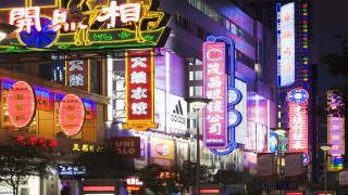 City street neon signs trees - building and trees free wallpaper