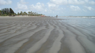 Sandy beach people walking water - beach free wallpaper