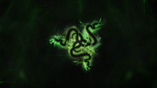 Green snake black background green 5 - 8 k free wallpaper