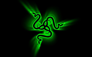 Green snake glowing dark curled - tail free wallpaper