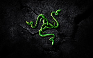Green snake black surface aurora - back end free wallpaper for desktop