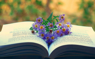 Book flowers table outside purple - a book free wallpaper