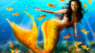 Woman bikini swimming ocean fish - fish free wallpaper for desktop