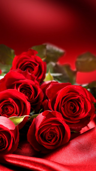 Red roses green leaves blurry 3 - free hearts wallpaper for mobile
