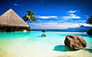 Tropical beach pool hut palm - the water and palm trees free wallpaper