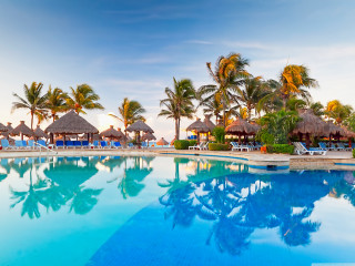 Large pool palm trees blue - large free wallpaper for desktop