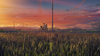 Man riding bike field sunset - a man riding free wallpaper