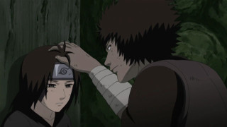 Man touching head forest trees - the background and a woman free wallpaper