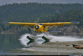 Yellow plane landing water forest - a lake and trees free wallpaper