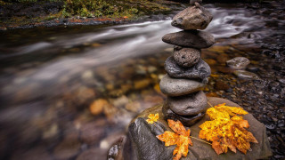 Rock pile river autumn leaves - a pile of rocks free wallpaper