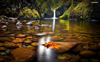 Leaf rocks water waterfall background - the rock free wallpaper