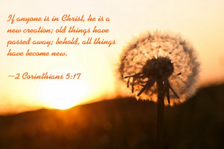 Dandelion bible verse sunset quote - a dandelion free wallpaper for desktop