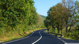 Curved road surrounded by trees - both side of the road free wallpaper