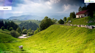 Green hillside house cow grazing - a cow free wallpaper