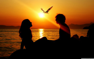 Couple water sunset bird flying - over them free wallpaper for desktop