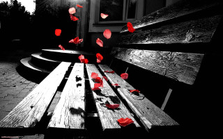Wooden bench red flowers light 2 - a wooden bench free wallpaper for desktop