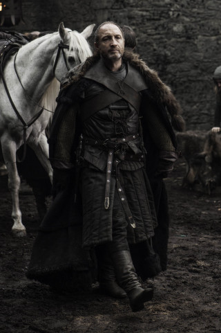 Man horse outfit standing man - a horse free wallpaper for mobile