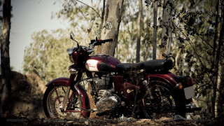 Motorcycle parked woods near tree - a motorcycle free wallpaper