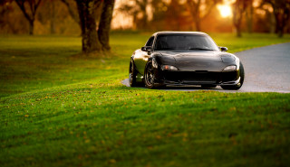 Car driving road grass trees - ground free wallpaper