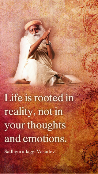 Man white beard red orange - a white beard free wallpaper for mobile