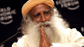 Man white beard yellow turban - a long white beard free wallpaper