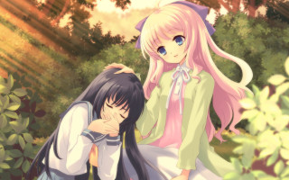 Anime girls sitting grass together - the grass together free wallpaper