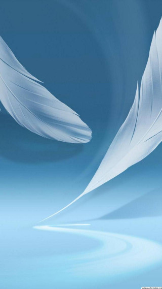 White feather blue background sky - a white feather free wallpaper